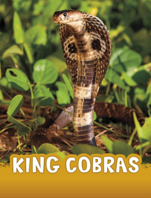 Book cover of: King Cobras. By: Jaclyn Jaycox