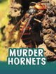 Book cover of: Murder Hornets. By: Jaclyn Jaycox