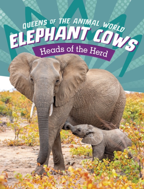 Book cover of: Elephant Cows. By: Maivboon Sang