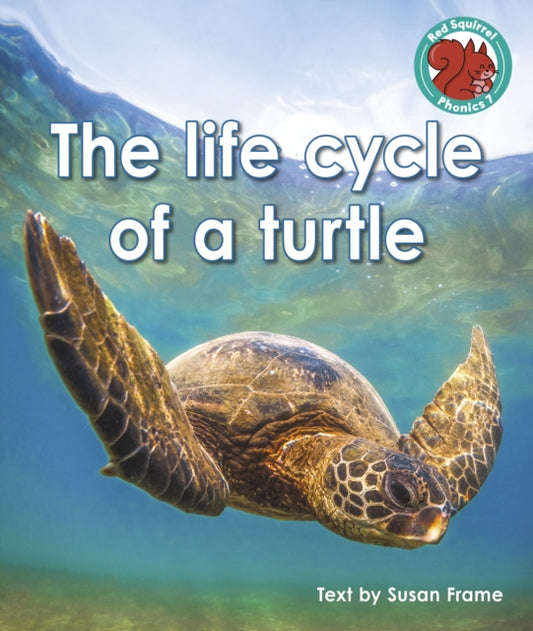 Book cover of: life cycle of a turtle. By: Susan Frame