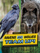 Book cover of: Ravens and Wolves Team Up!. By: Stephanie True Peters
