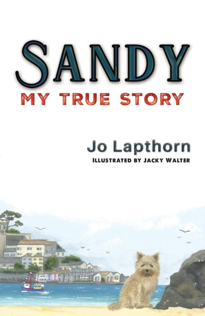Book cover of: Sandy