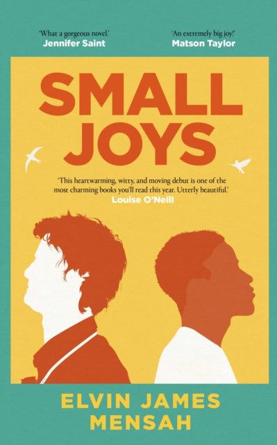Small Joys, A Buzzfeed 'Amazing New Book You Need to Read ASAP' 9781398514881 Elvin Mensah