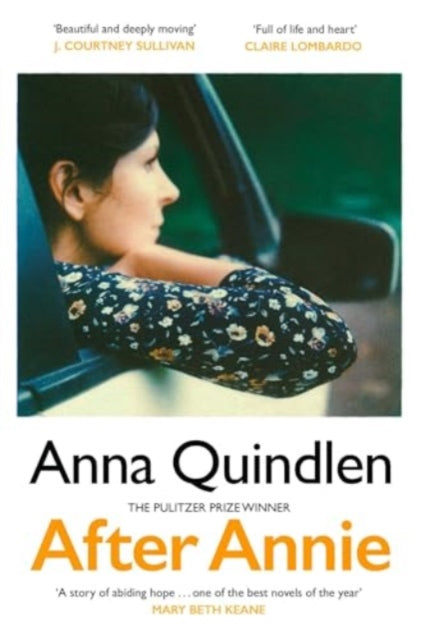 Book cover of: After Annie