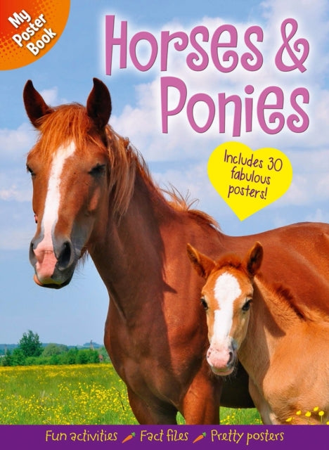 Book cover of: My Poster Book: Horses & Ponies