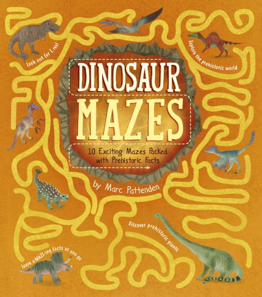 Book cover of: Dinosaur Mazes