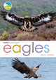 Book cover of: RSPB Spotlight: Eagles. By: Mike Unwin