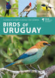 Birds of Uruguay 9781399406734 Florencia Ocampo