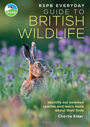 RSPB Everyday Guide to British Wildlife, Identify our common species and learn more about their lives