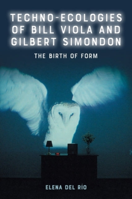 Techno-Ecologies of Bill Viola and Gilbert Simondon