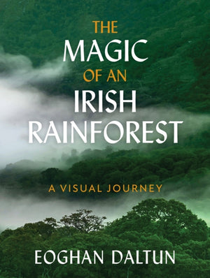 Magic of an Irish Rainforest, A Visual Journey