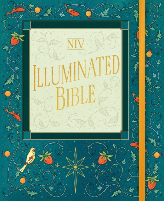 Book cover of: NIV Illuminated Bible. By: New International Version