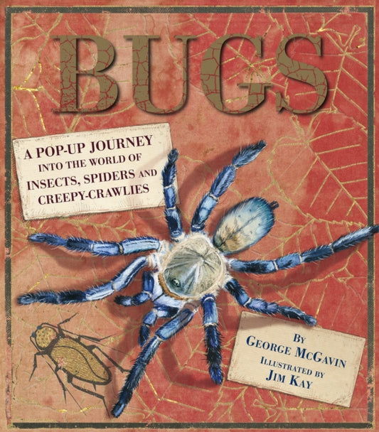 Book cover of: Bugs. By: McGavin, George. Kay, Jim [illustrator]. Ferguson, Richard (Paper engineer) [book designer]