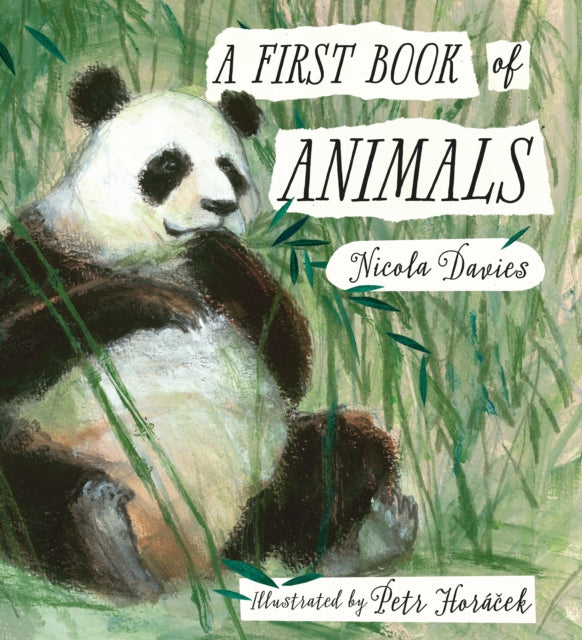 Book cover of: First Book of Animals. By: Dr Nicola Davies (He
