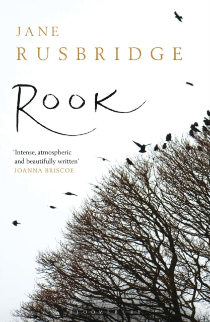 Book cover of: Rook. By: Jane Rusbridge