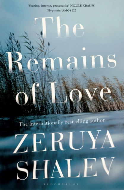 Book cover of: Remains of Love. By: Zeruya Shalev