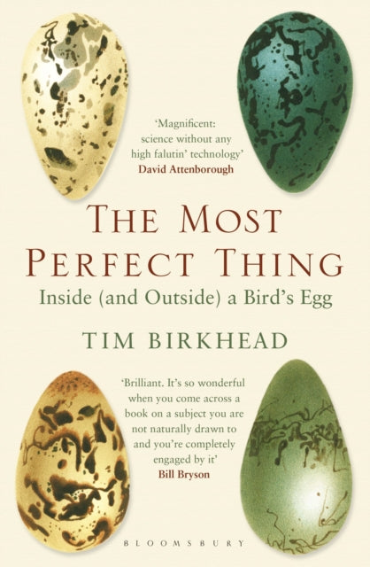 Most Perfect Thing, Inside (and Outside) a Bird’s Egg 9781408851272 Tim Birkhead