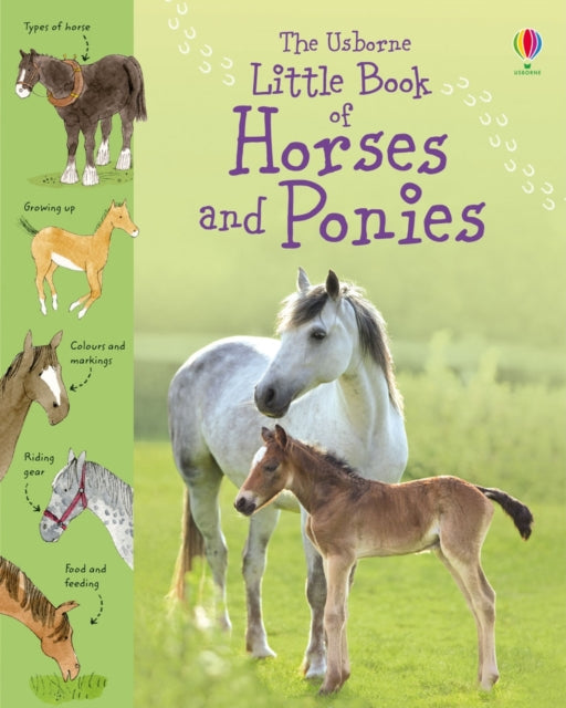 Book cover of: Little Book of Horses and Ponies. By: Sarah Kahn