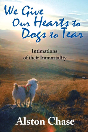 We Give Our Hearts to Dogs to Tear