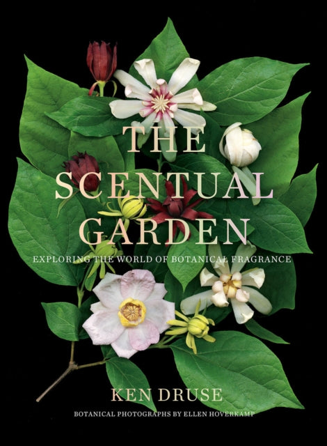 Book cover of: Scentual Garden: Exploring the World of Botanical Fragrance. By: Ken Druse