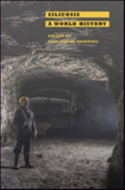 Book cover of: Silicosis