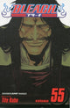 Book cover of: Bleach, Vol. 55