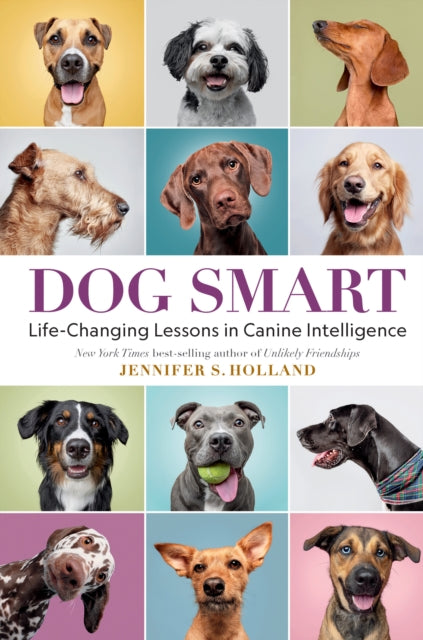 Book cover of: Dog Smart. By: Jennifer S. Holland
