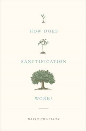 How Does Sanctification Work?