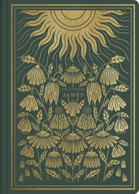 Book cover of: ESV Illuminated Scripture Journal