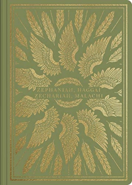 Book cover of: ESV Illuminated Scripture Journal