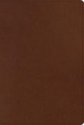 ESV Men's Study Bible