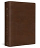 Book cover of: ESV Chronological Bible. By: Andrew E. Steinmann