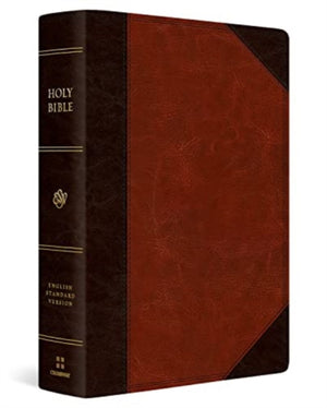 ESV Super Giant Print Bible