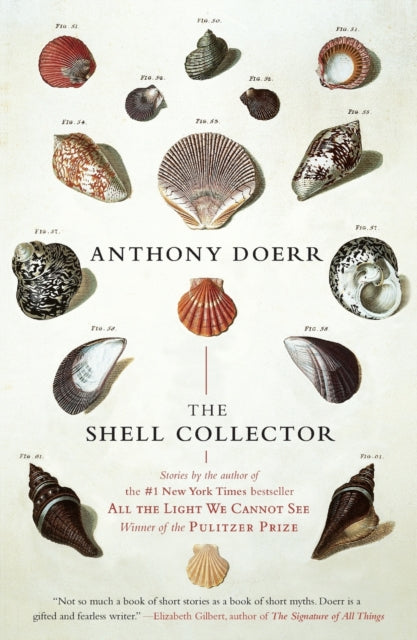 Shell Collector