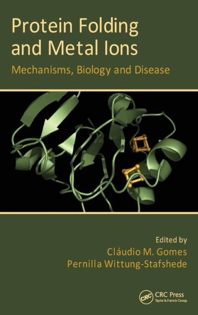 Book cover of: Protein Folding and Metal Ions