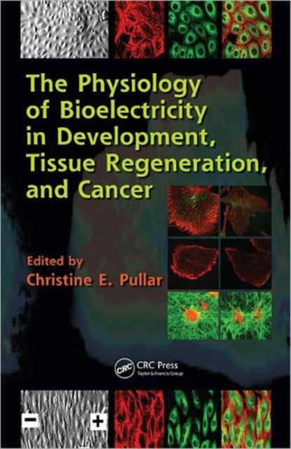 Book cover of: Physiology of Bioelectricity in Development, Tissue Regeneration and Cancer. By: Christine E. Pullar