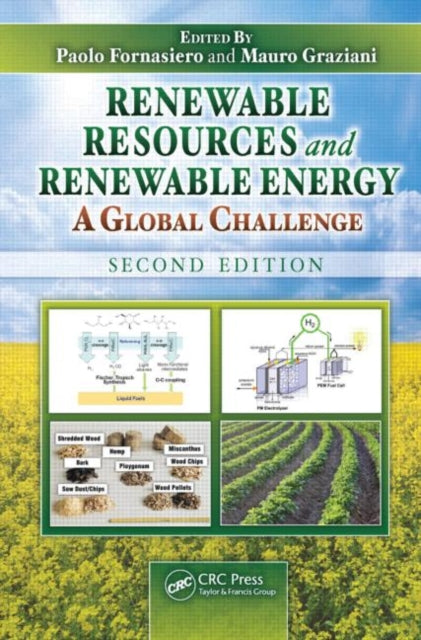 Book cover of: Renewable Resources and Renewable Energy. By: Paolo Fornasiero