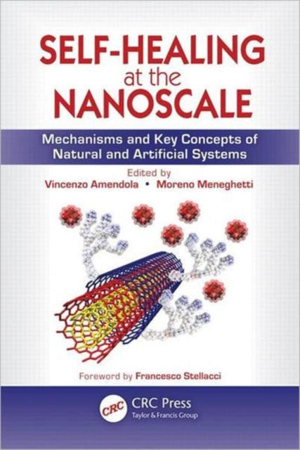 Book cover of: Self-Healing at the Nanoscale. By: Vincenzo Amendola