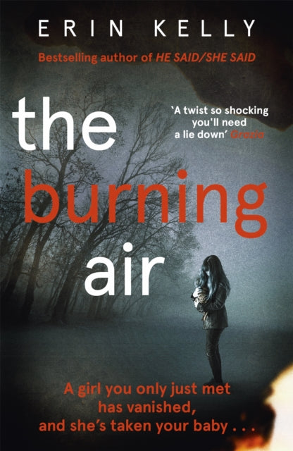 Book cover of: Burning Air. By: Erin Kelly