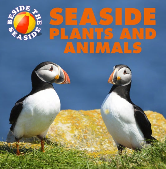 Book cover of: Beside the Seaside: Seaside Plants and Animals. By: Clare Hibbert