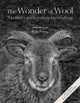 Book cover of: Wonder of Wool. By: LEE, JUSTINE