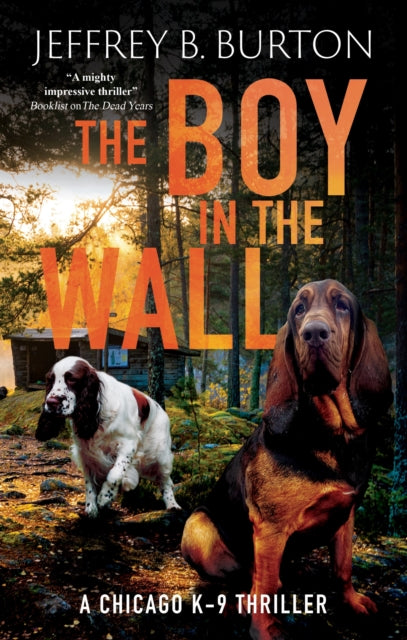 The Boy in the Wall