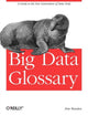 Book cover of: Big Data Glossary. By: Pete Warden
