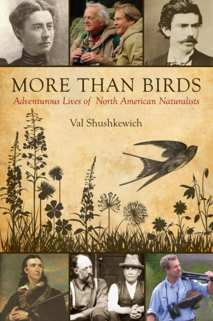 Book cover of: More Than Birds. By: Val Shushkewich