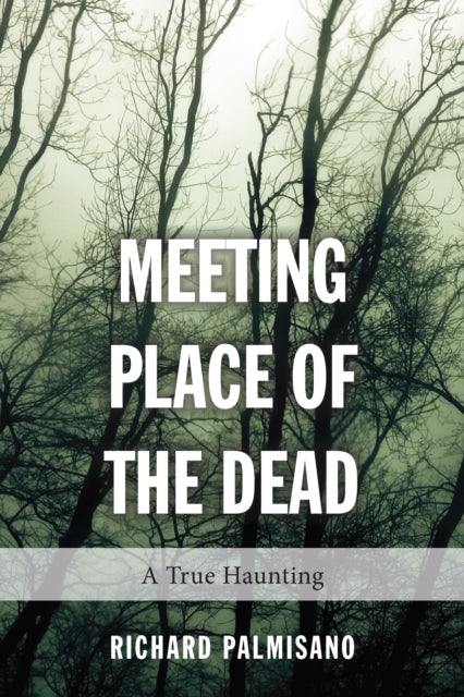 Book cover of: Meeting Place of the Dead. By: Richard Palmisano