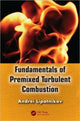 Book cover of: Fundamentals of Premixed Turbulent Combustion