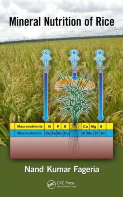 Book cover of: Mineral Nutrition of Rice. By: Nand Kumar Fageria