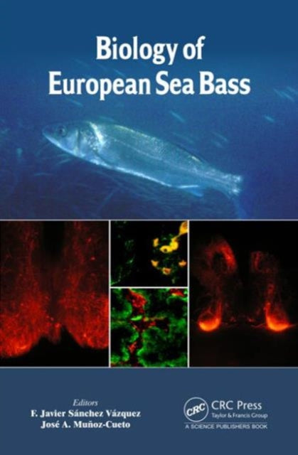 Book cover of: Biology of European Sea Bass. By: F. Javier Sánchez Vázquez