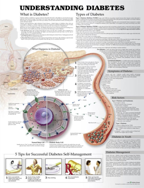Book cover of: Understanding Diabetes Anatomical Chart. By: Anatomical Chart Company
