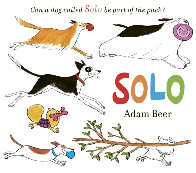 Book cover of: Solo. By: Adam Beer